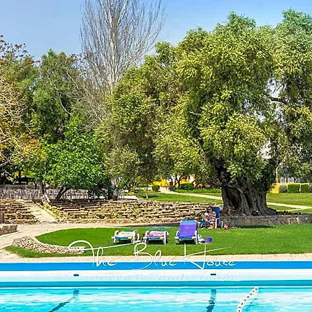 The Blue House, Pedras D'el Rei, アパートホテル タヴィラ